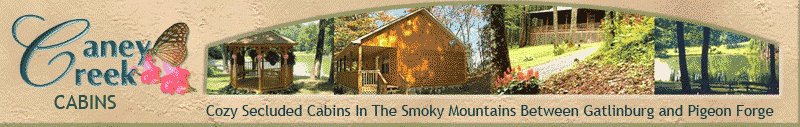 Check availability in real time for your cabin in the Smokies!