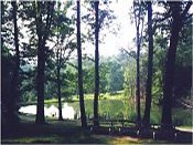 Enjoy our private fishing lake!